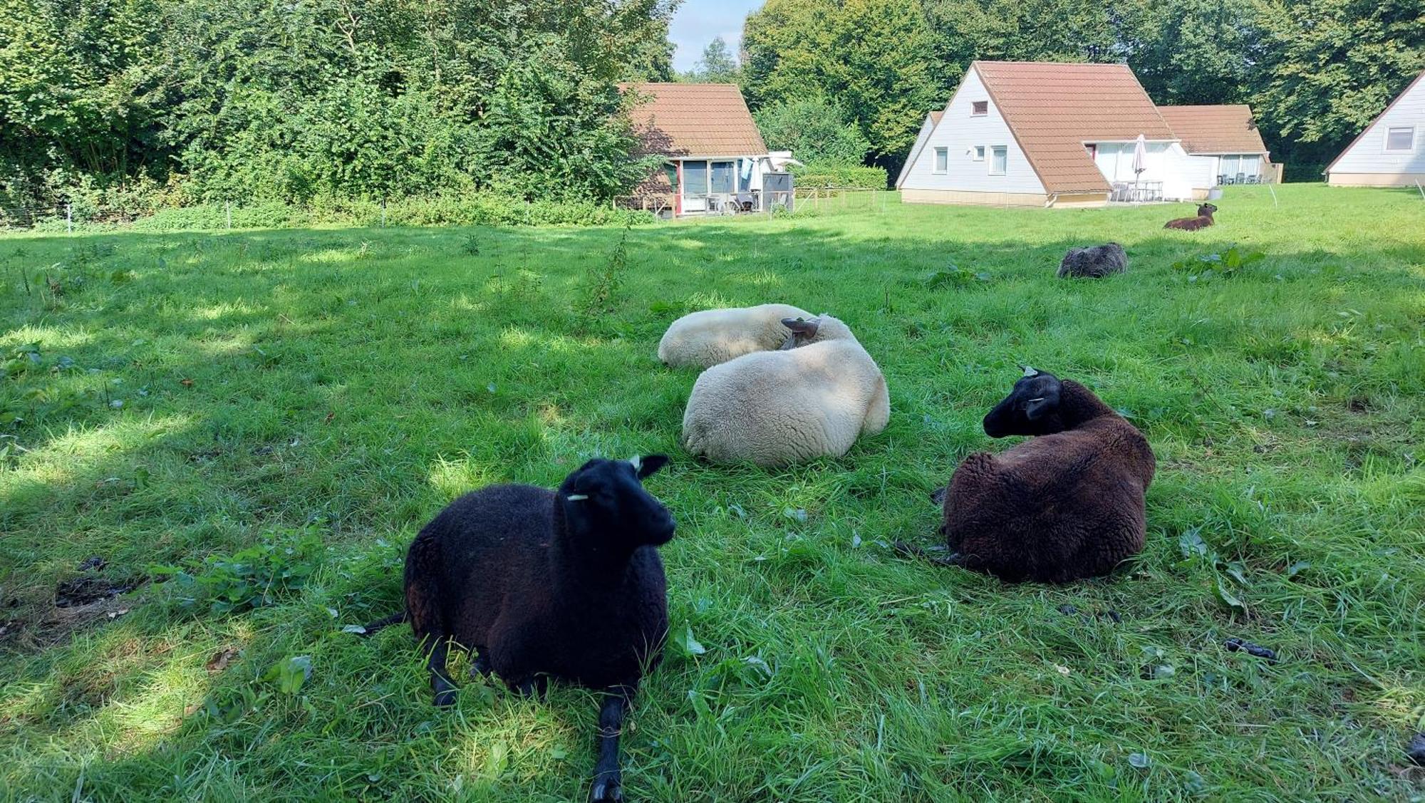 Toermalijn Casa de férias Simpelveld